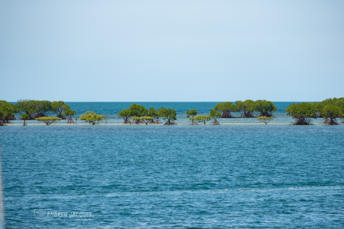australie 2018-80
