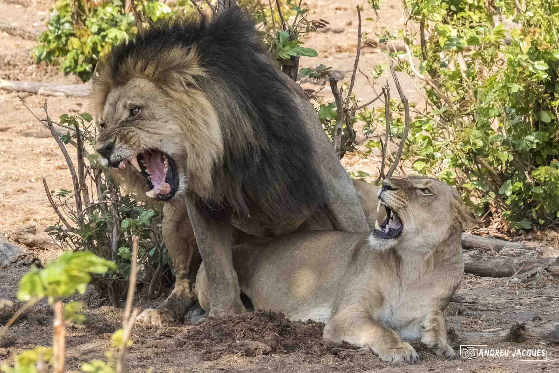 namibie16-34